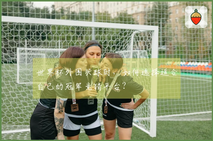 世界杯外围买球时，如何选择适合自己的冠军竞猜平台？