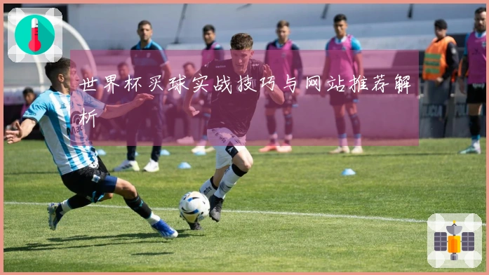 世界杯买球实战技巧与网站推荐解析
