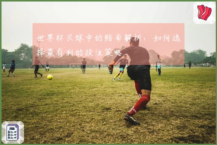 世界杯买球中的赔率解析,如何选择最有利的投注策略